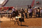 Tucson Rodeo 30