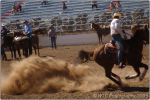 Tucson Rodeo 42