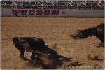 Tucson Rodeo 43