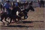 Tucson Rodeo 44