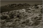 1st Tucson B&W 44