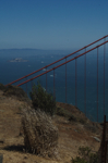 cali_baybridge_0910_040.jpg