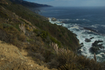 cali_bigsur_0910_048.jpg