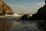 cali_bigsur_0910_142.jpg