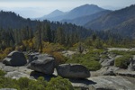 cali_sequoia_1110_058.jpg