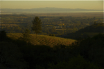 cali_sonoma_1110_004.jpg