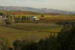 cali_sonoma_1110_078.jpg