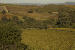 cali_sonoma_1110_098.jpg