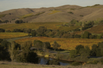 cali_sonoma_1110_099.jpg