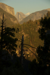 cali_yosemite_1010_010.jpg