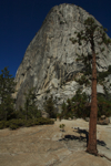 cali_yosemite_1010_159.jpg