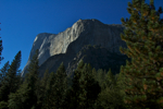 cali_yosemite_1010_296.jpg