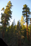 cali_yosemite_1010_329.jpg