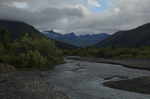 alaska_denali_july10_180.jpg