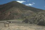 SCT_Bolivia_009_SaltFlats.jpg