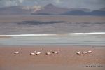 SCT_Bolivia_105_SaltFlats.jpg