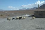 SCT_Bolivia_114_SaltFlats.jpg