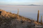 SCT_Bolivia_200_SaltFlats.jpg