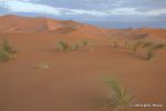 SCT_Morocco_289_Atlas.jpg