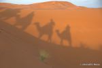 SCT_Morocco_292_Atlas.jpg
