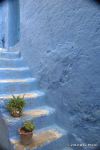 SCT_Morocco_439_Chefchaouen.jpg