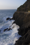 shorty_italy_cinqueterre_1211_045.jpg