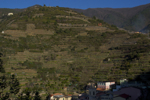 shorty_italy_cinqueterre_1211_178.jpg