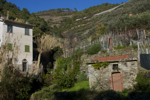 shorty_italy_cinqueterre_1211_194.jpg