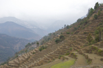 shorty_nepal_trek_0112_064.jpg