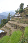 shorty_nepal_trek_0112_065.jpg