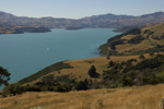 shorty_nz_akaroa_0212_23.jpg