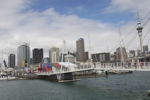 shorty_nz_auckland_0312_01.jpg