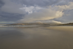 shorty_nz_catlins_0212_43.jpg