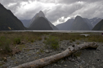 shorty_nz_fjordlands_0212_054.jpg