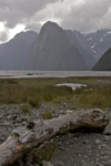 shorty_nz_fjordlands_0212_057.jpg