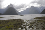 shorty_nz_fjordlands_0212_070.jpg