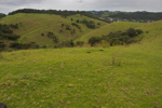 shorty_nz_whangarei_0212_26.jpg