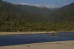 shorty_nz_wildnorth_0312_056.jpg